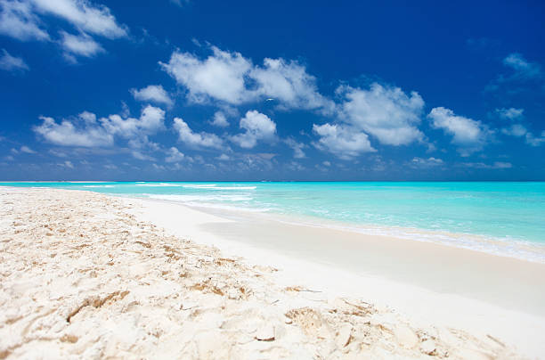 istock Caribbean beach and sea 472666180