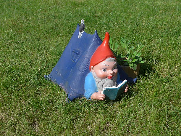 istock Gnome in the garden - Bild - 472666766
