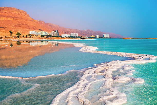 Dead sea salt shore. Ein Bokek, Israel stock photo