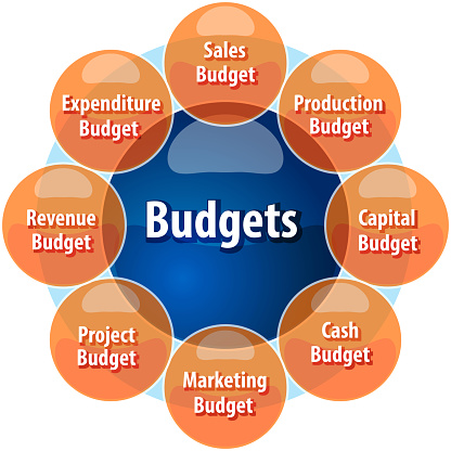 business strategy concept infographic diagram illustration of types of company budgets