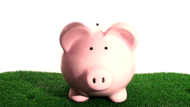 Piggy bank on grass - HD