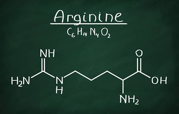 arginina - molecule amino acid arginine molecular structure zdjęcia i obrazy z banku zdjęć