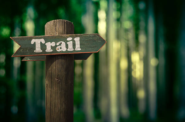 Forest Trail Sign stock photo