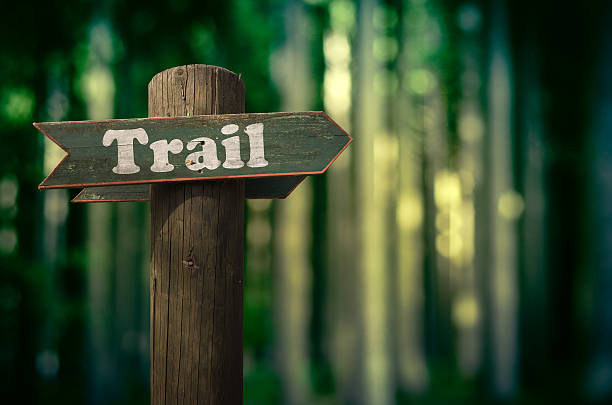 Forest Trail Sign Wooden Trail Sign In A Forest For Hikers hiking sign stock pictures, royalty-free photos & images