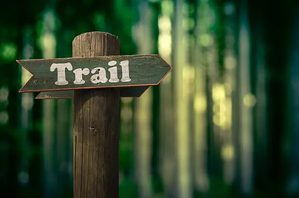 Photo of Forest Trail Sign