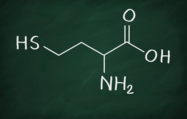 Homocysteine stock photo