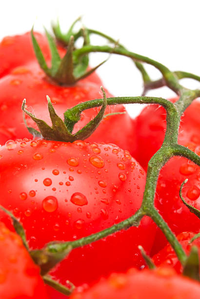 istock Close-up photo of tomatoes with water drops 472680366