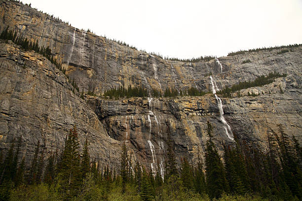 istock Canadian Rockies from the Icefields Parkway 472684200
