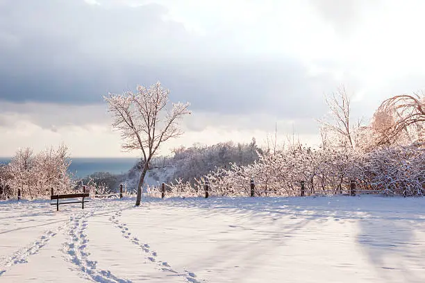 Photo of Winter landscape of Scarborough Bluffs