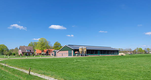 dutch farm stock photo