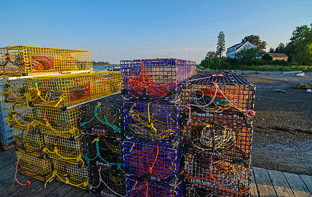 istock Lobster Traps on Fishing Pier 472686008