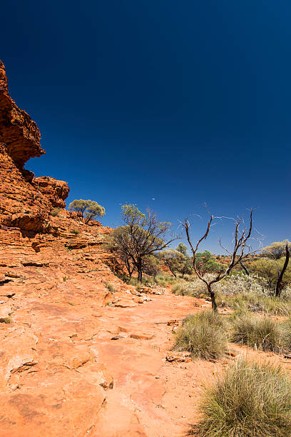 istock Kings Canyon Australia 472690750