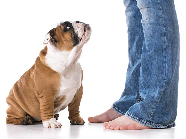 istock woman and her dog 472691848