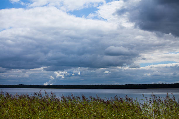 istock Forest lake before the thunderstorm in summer 472693140