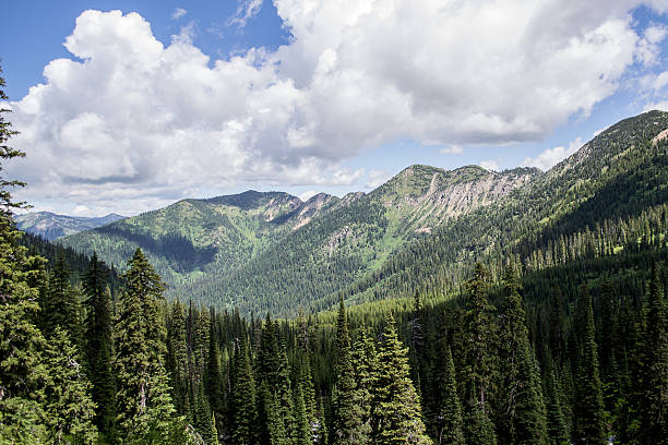istock Road to the Sun Montana 472693288