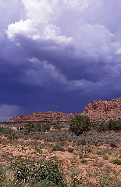 istock Thunderhead and Rain over the Vermilion Cliffs near Kanab Utah 472693478