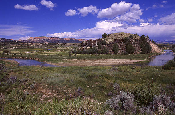 istock Sagebrush and green pastures in Sevier River Valley Hatch Utah 472693482