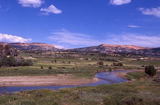 istock Summer Green pastures Sevier River Valley near Hatch Utah 472693490