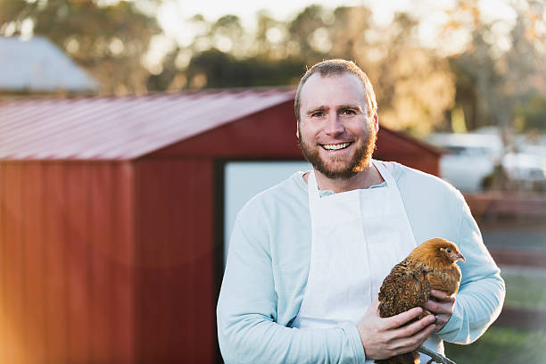 istock Man on a farm holding a hen 472693820