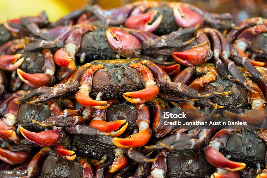 Fresh Crabs Pile of fresh raw crabs. 2015 Stock Photo