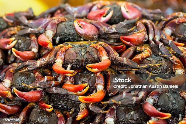 Fresh Crabs Stock Photo - Download Image Now - 2015, Claw, Crab