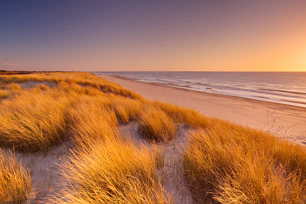 istock Dunes and beach at sunset on Texel island, The Netherlands 472696016