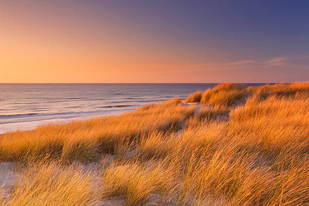 istock Dunes and beach at sunset on Texel island, The Netherlands 472696066