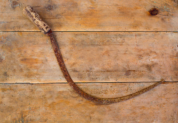 istock Antique sickle hand tool rusted on aged vintage wood 472697736