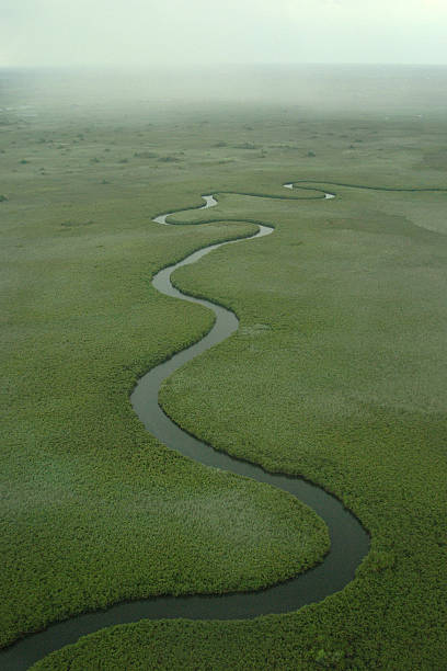 istock Okavango Delta, aerial view, Ngoga River 472698898