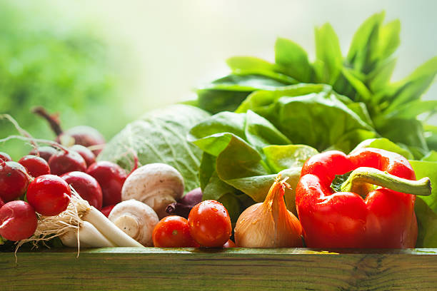 fresh organic vegetables stock photo