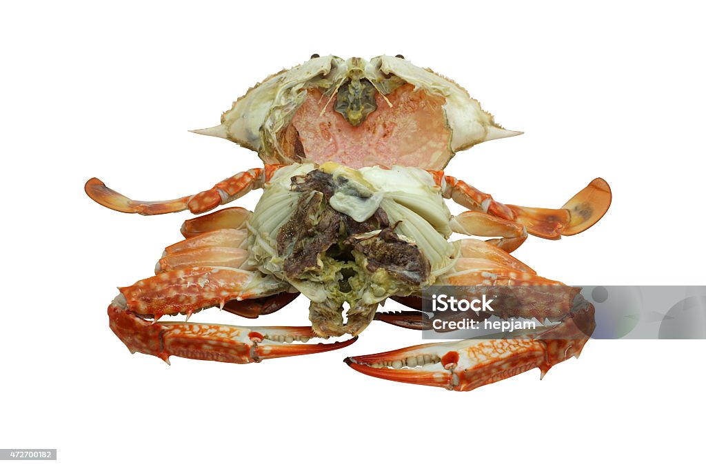 Streamed, boiled crab Streamed / boiled Flower crab / Blue crab / Blue swimmer crab / Blue manna crab / Sand crab isolated on white background 2015 Stock Photo