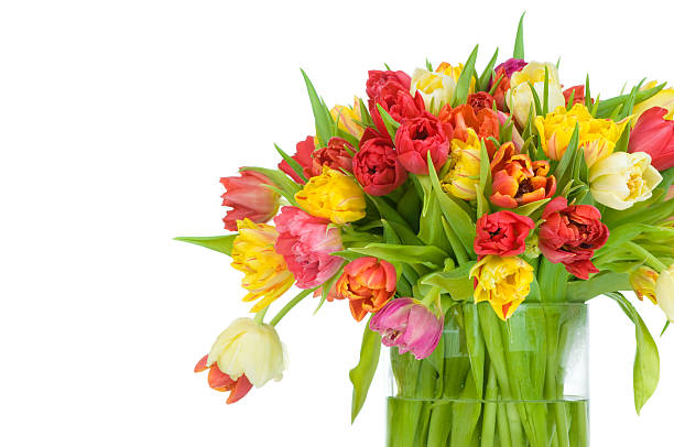 Bouquet of tulips in the vase stock photo