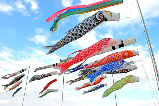 Koinobori are cloth streamers in the shape of a carp which are flown on a tall pole on Children's day. 