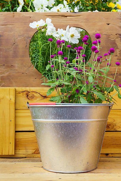istock The flowers on wood background 472708038