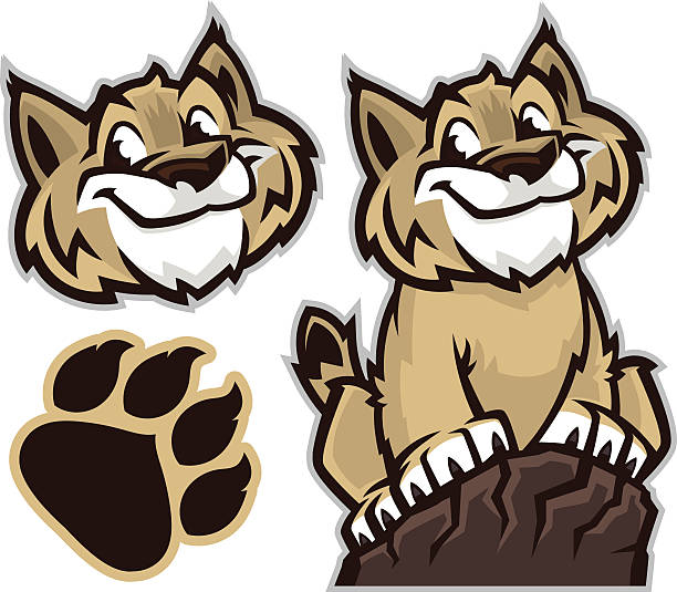 Cartoon drawing of a wildcat and pawprint vector art illustration