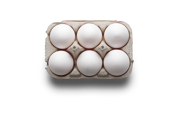 l'angle de prise de vue en studio de six blancs d'œufs dans la boîte - protein isolated shell food photos et images de collection