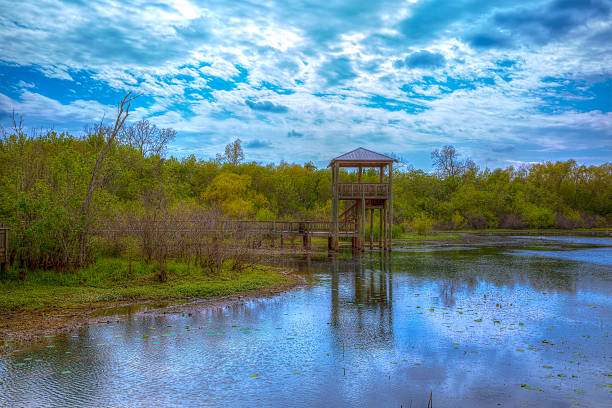 istock White Lake at Cullinan Park in sugarland Texas 472713422