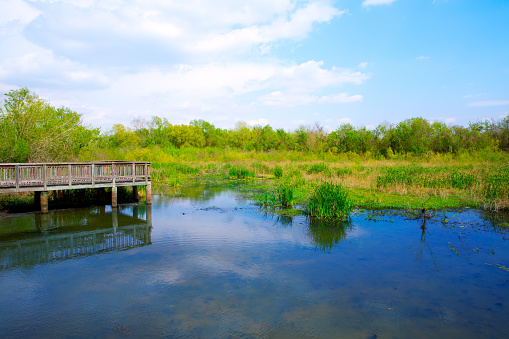 White Lake at Cullinan Park in sugarland near Houston Texas