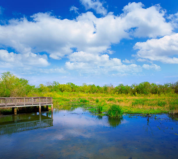 istock White Lake at Cullinan Park in Sugarland Texas 472714772