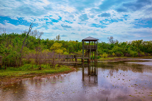 White Lake at Cullinan Park in sugarland Texas