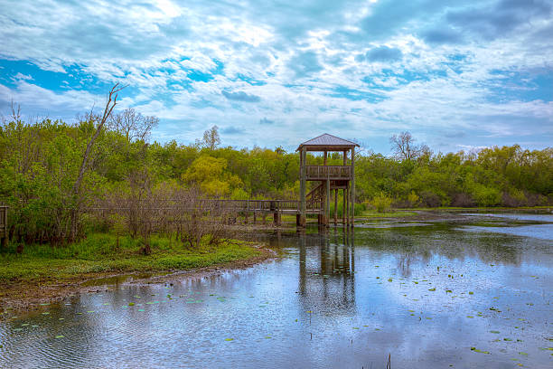 istock White Lake at Cullinan Park in sugarland Texas 472714794