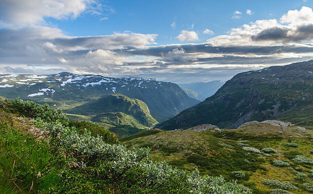 istock Summer in highland valley of Norway 472716156