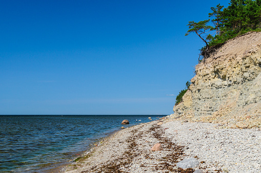 Panga cliff, highest bluff of Saarema island, Estonia
