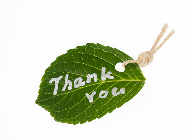istock Message written on the leaf_Thank you 472719540