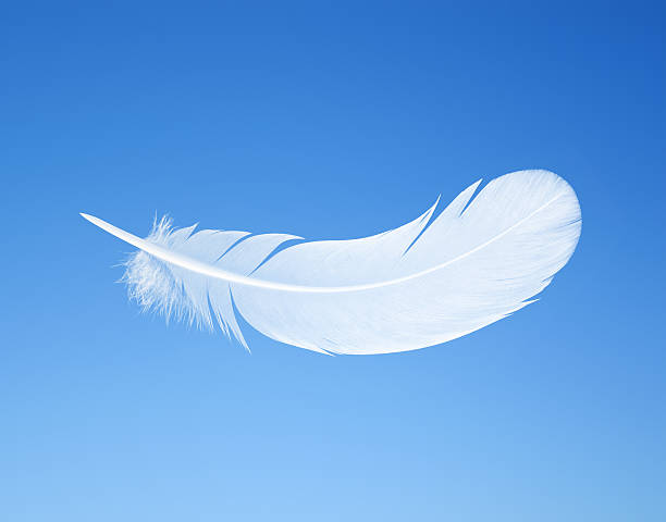 istock feather on the background of blue sky 472721706