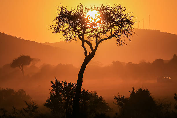 [url=http://www.istockphoto.com/search/lightbox/12062330#18b14968] \