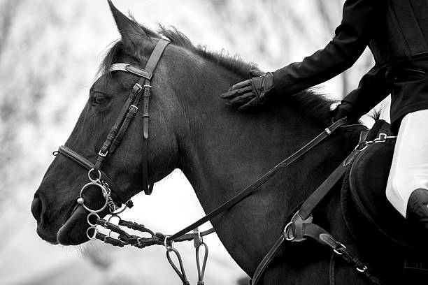 Female on horse jumping.