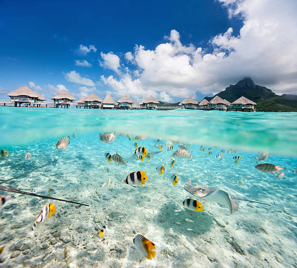 istock Tropical island under and above water 472728886