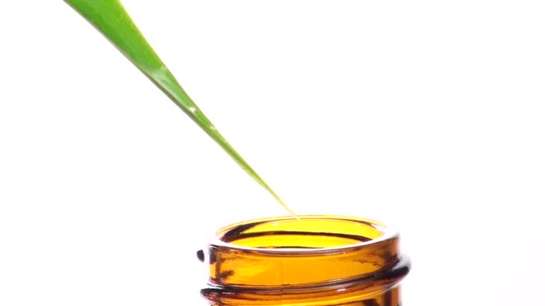 Naturheilkunde