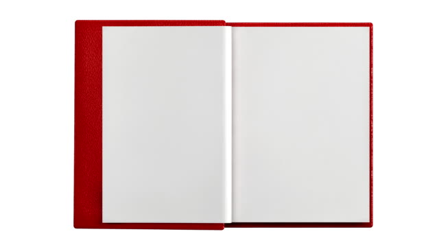 Modern blank  book isolated